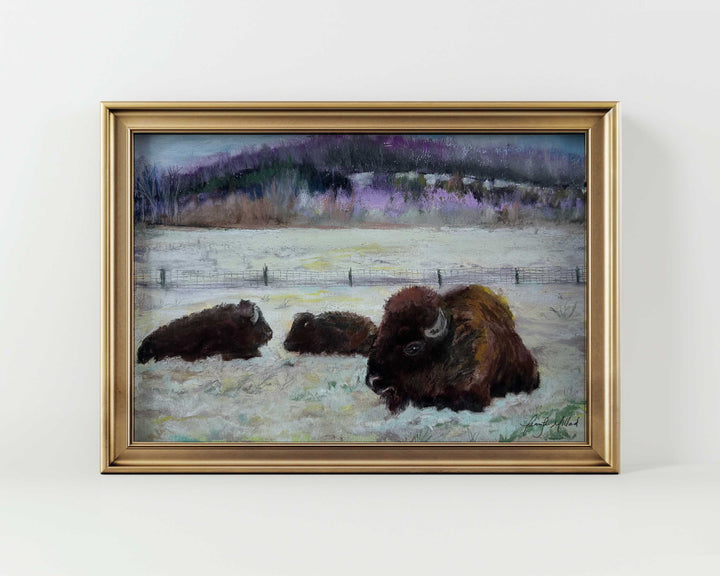 A giclee print of three bison resting in the snow in Kentucky, displayed in a modern gold frame.