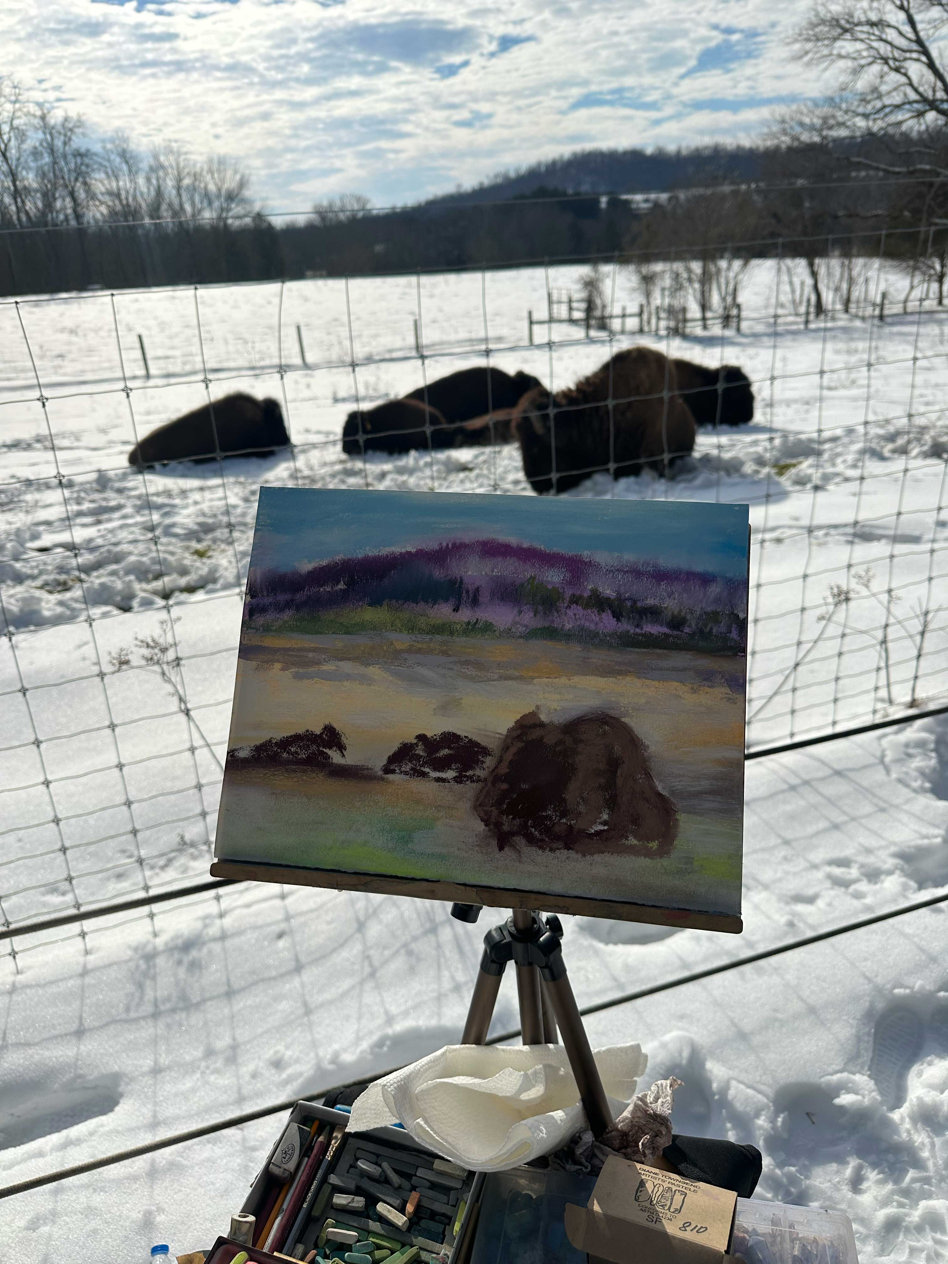 A photo of the beginning stages of a painting en plein air of buffalo at rest in the snow.