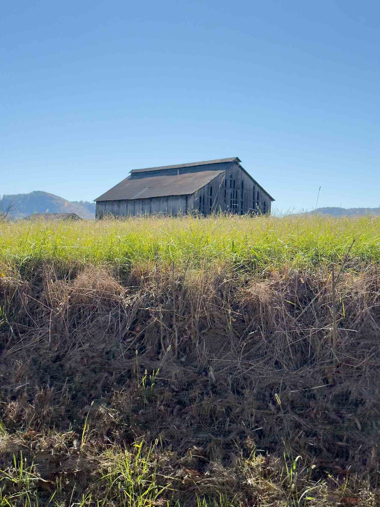 The reference photo the artist Jennifer Millard used for the "Old Tobacco Barn" painting.