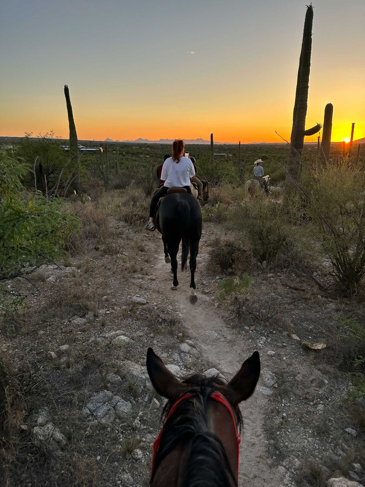 A photo of the artist, Jennifer Millard, on horseback in the Arizona Sonoran desert on a desert trail.