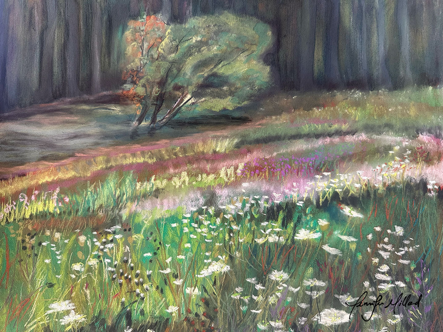 "Queen Anne's Lace" - Fine Art Print