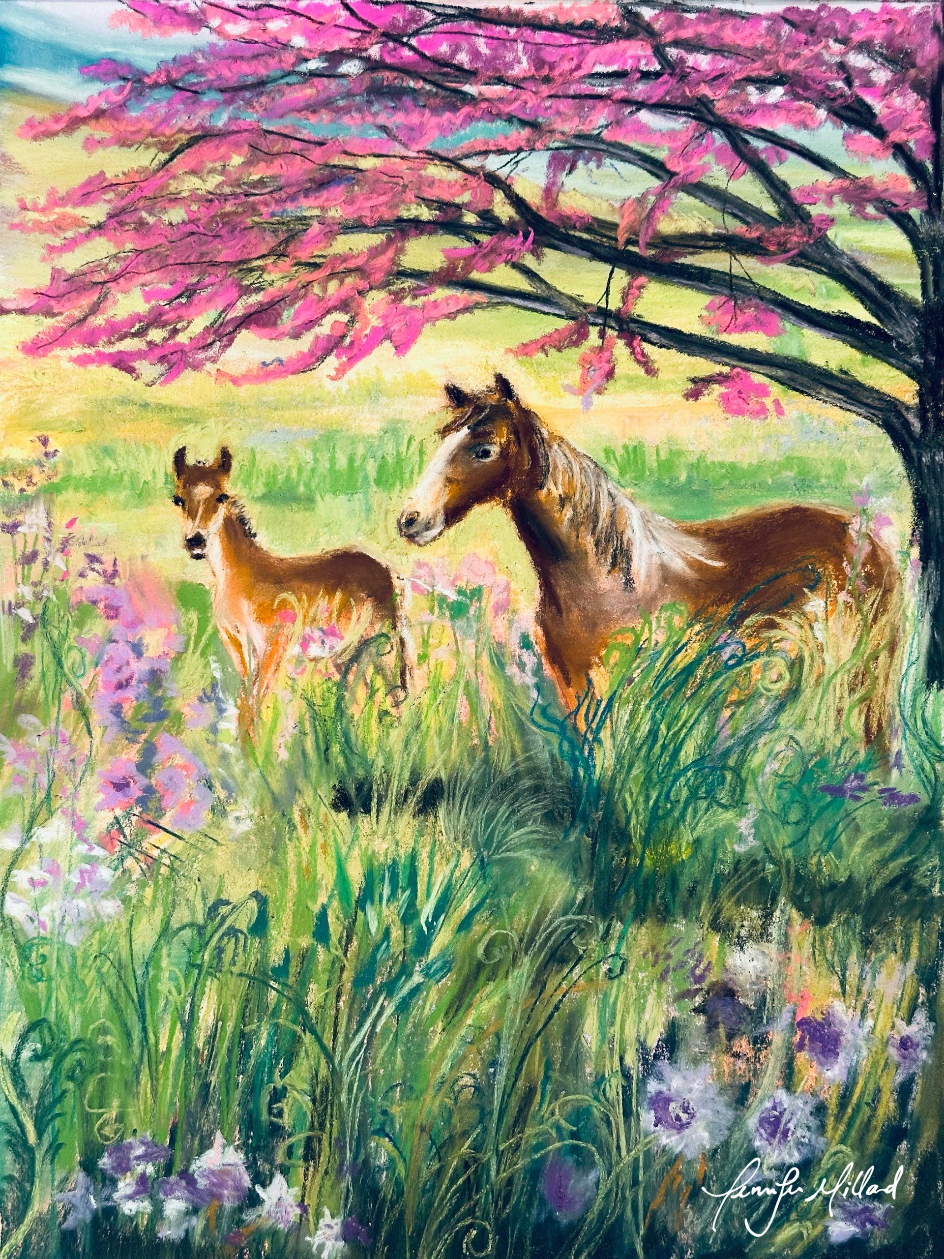 "Red Buds & Bays" - Spring in Eastern Kentucky - Fine Art Print