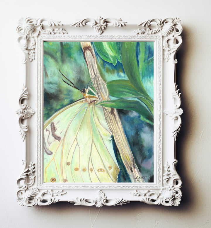 A giclee print of a resting yellow green butterfly sittings on a branch with a faded green background in an ornate white frame.