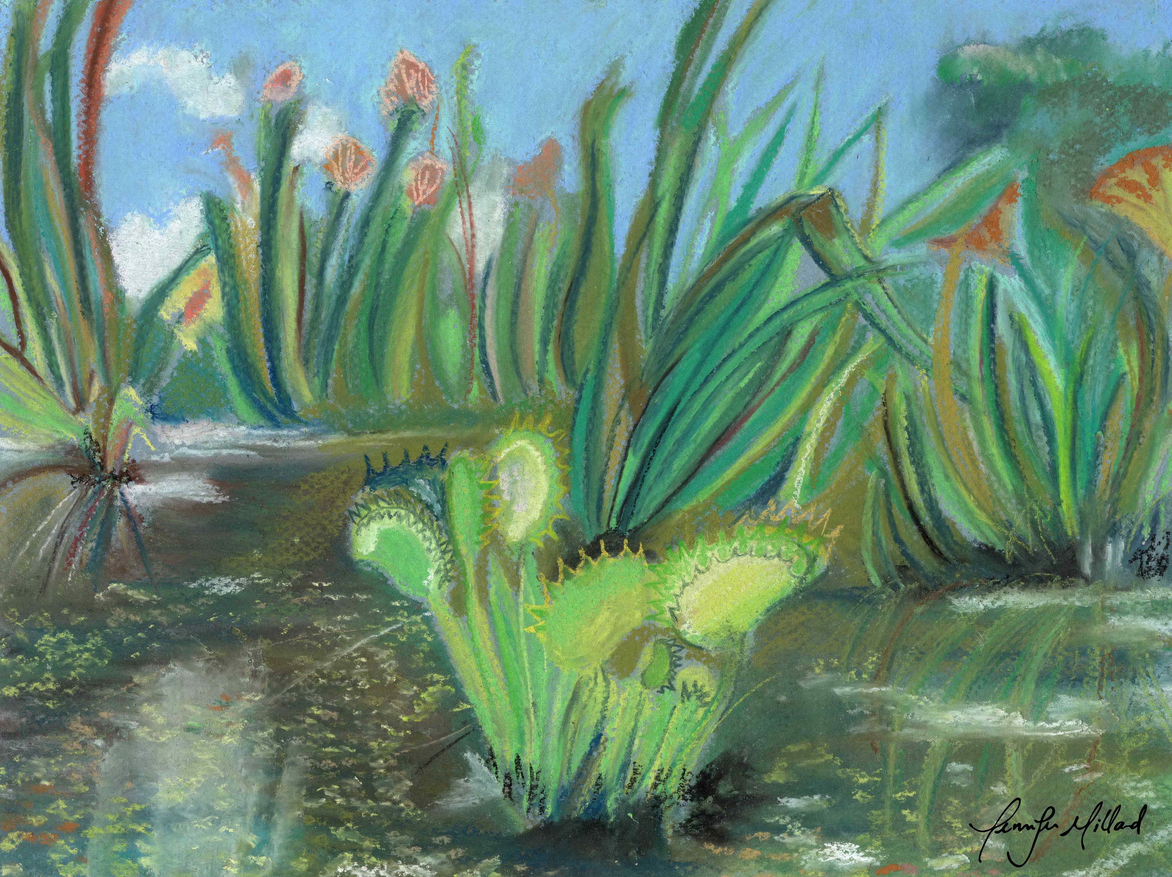 This soft pastel depicts a delightful small fen located in Ohio, complete with swampy florals and a venus fly trap.