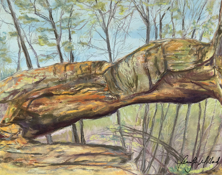 A painting of Princess Arch in Red River Gorge, Kentucky by artist Jennifer Millard. This delicate arch is made up of bronzes, oranges and greens.