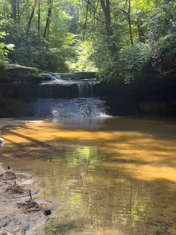 A photo of Creation Falls in the summer.