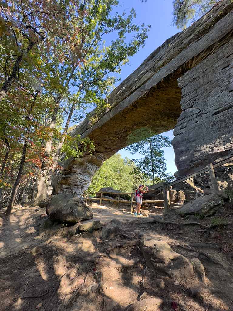 Photo of Natural Bridge, looking upward under the bridge itself.