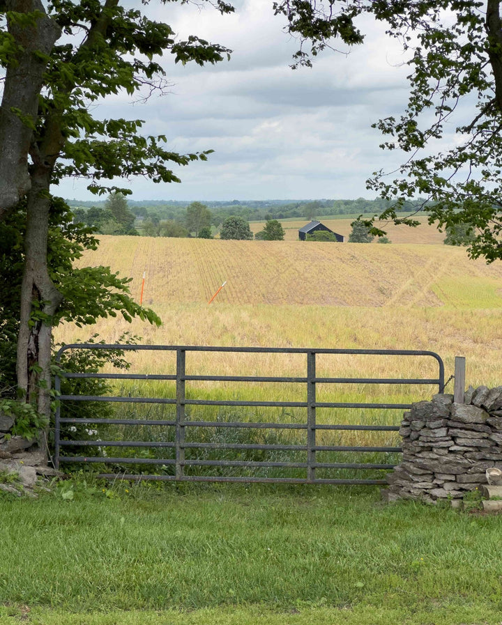 Photo of a farm outside of Danville, Kentucky.