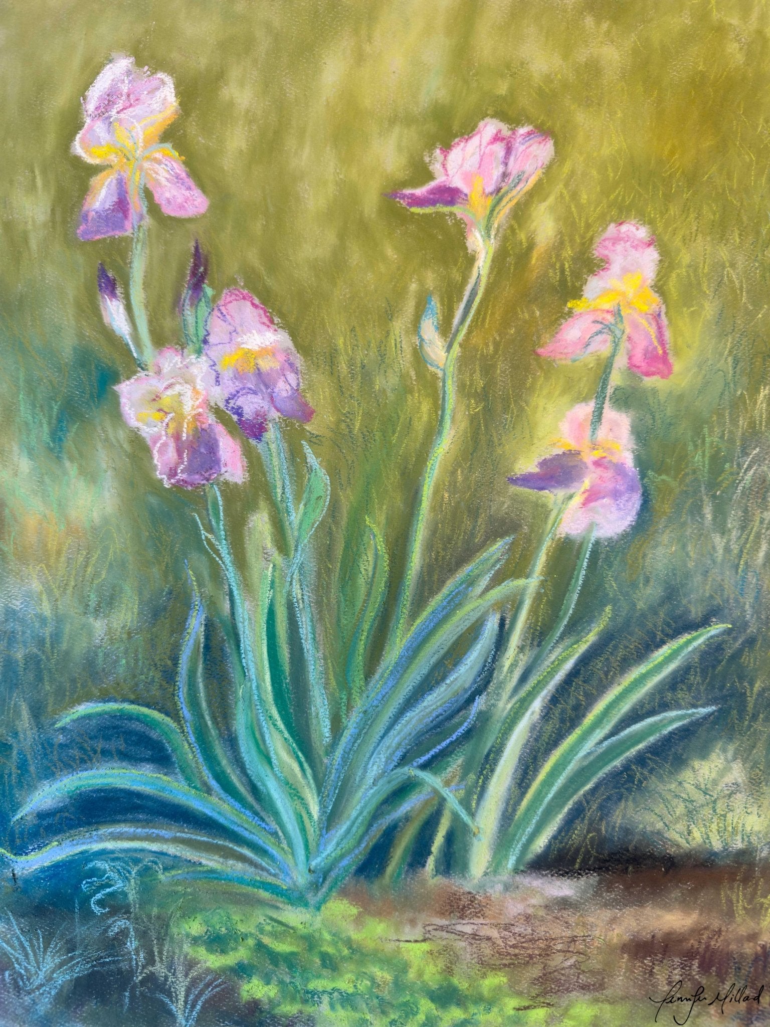 A vibrant, colorful soft pastel giclee print of 250 year-old irises.
