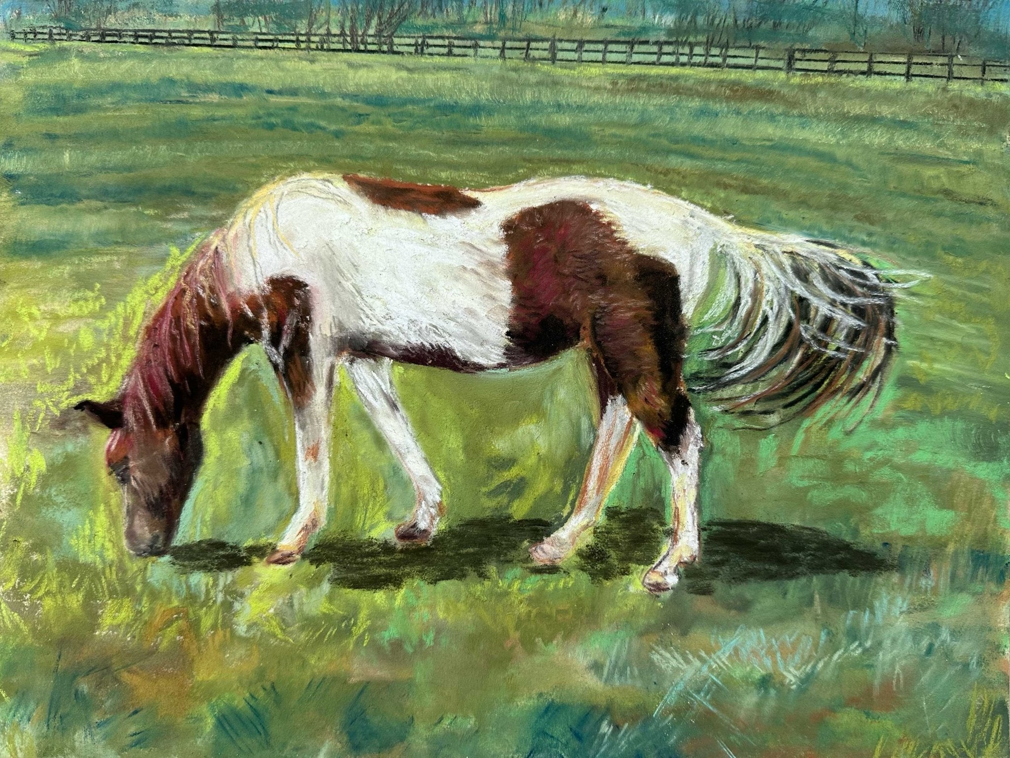 Animals & Insects - Jennifer Millard Art