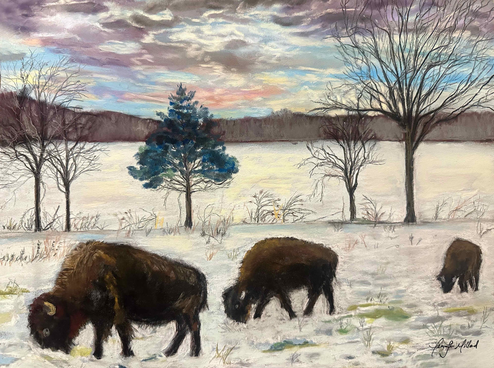 A soft pastel painting by artist, Jennifer Millard, depicting bison in Kentucky, digging in the snow to find grass to eat.