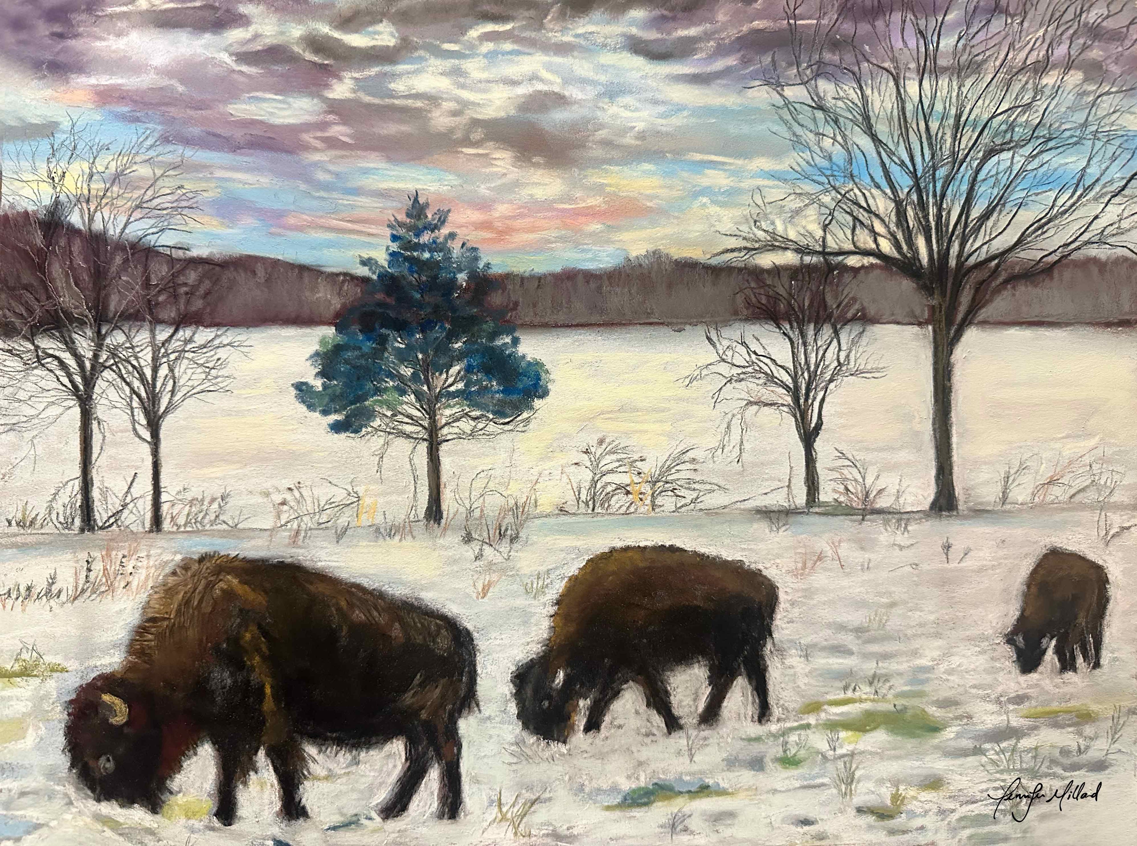 A soft pastel painting by artist, Jennifer Millard, depicting bison in Kentucky, digging in the snow to find grass to eat.