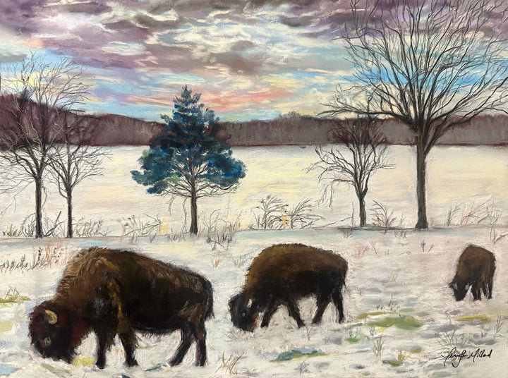 A soft pastel painting by artist, Jennifer Millard, depicting bison in Kentucky, digging in the snow to find grass to eat.