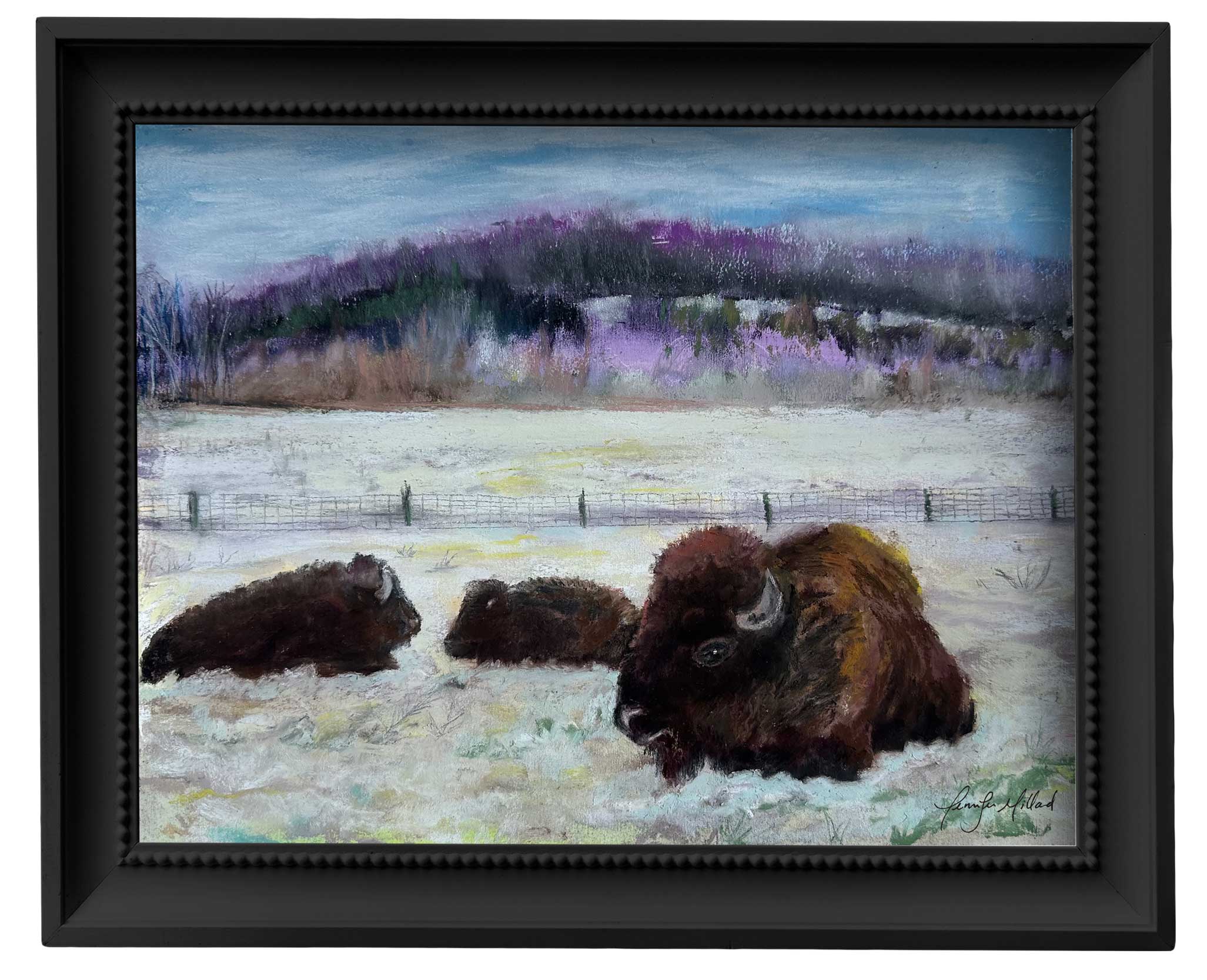 A print of a soft pastel with purples, yellows, white and brown bison resting at Big Bone Lick State Park.