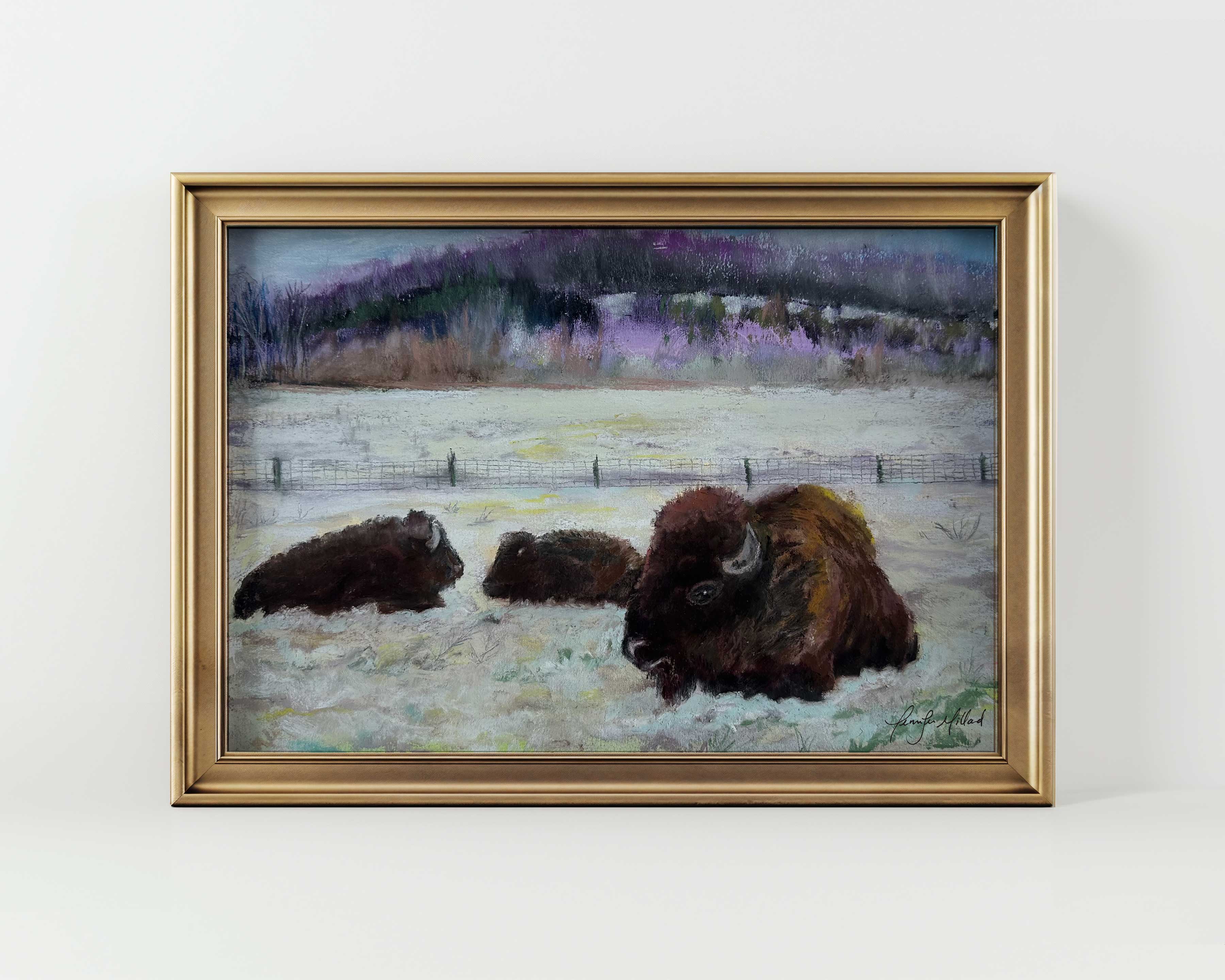 A giclee print of three bison resting in the snow in Kentucky, displayed in a modern gold frame.