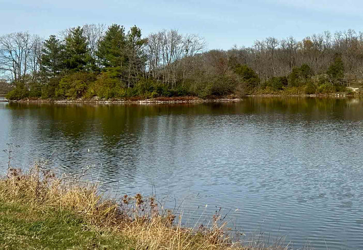 A photo of Lake Reba in the warm autumn weather.