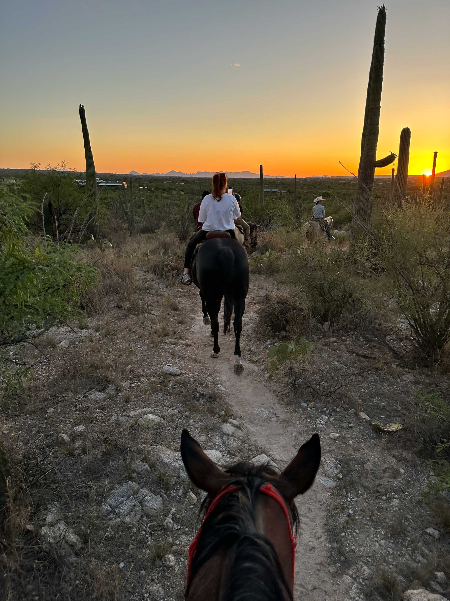 A photo of the artist, Jennifer Millard, on horseback in the Arizona Sonoran desert on a desert trail.