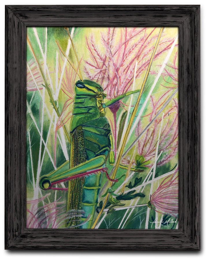 A giclee print of a bright green grasshopper holding onto pink muhly grass blades in a black frame.