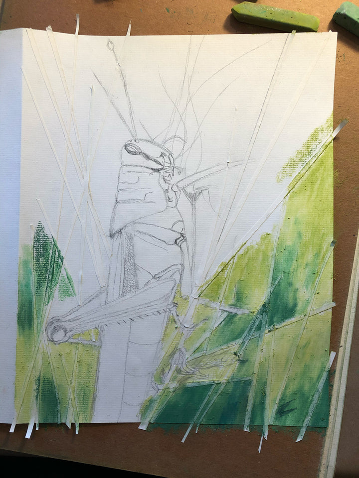 The process of painting uses tape strips to block out straight strands of grass around a grasshopper.