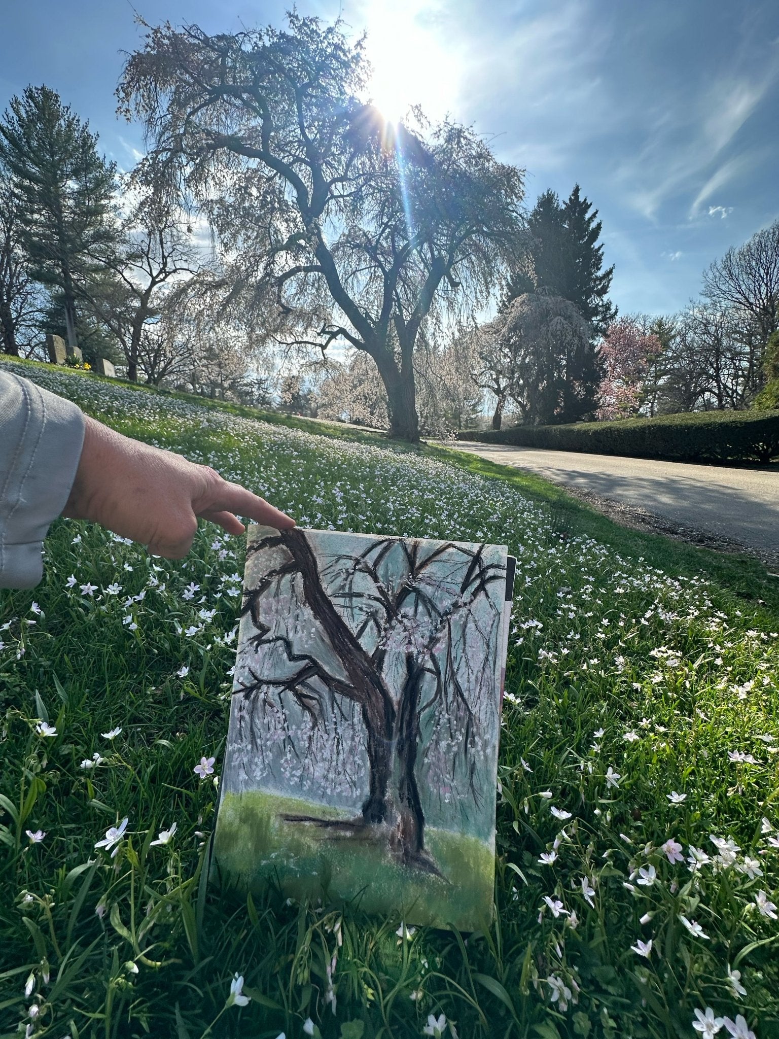 Artist Jennifer Millard hold up her plein air piece in front of the tree she is painting as she paints a weeping cherry blossom tree at the Lexington, Kentucky cemetery.