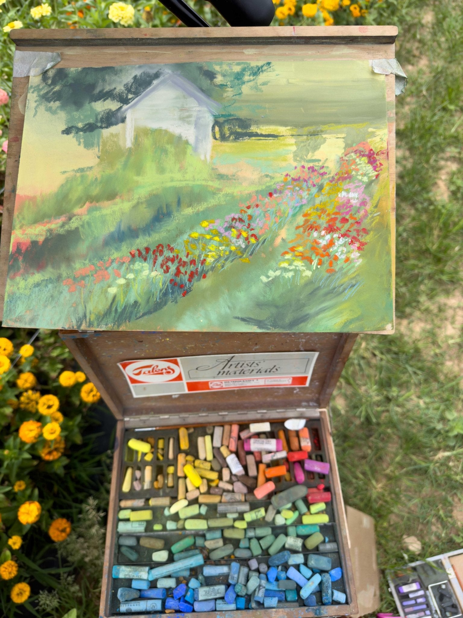 This flower farm soft pastel painting in progress by artist Jennifer Millard.